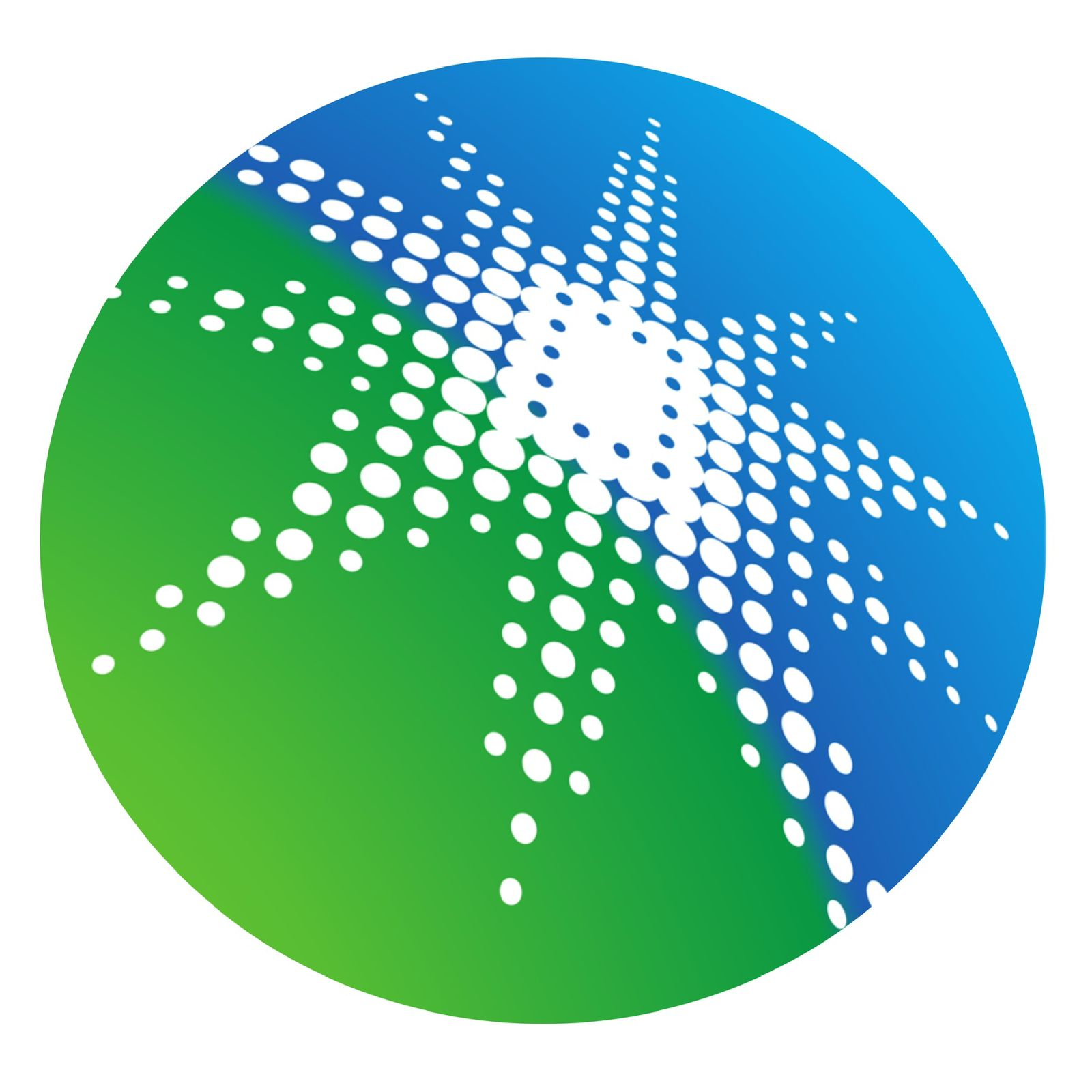 Saudi Aramco