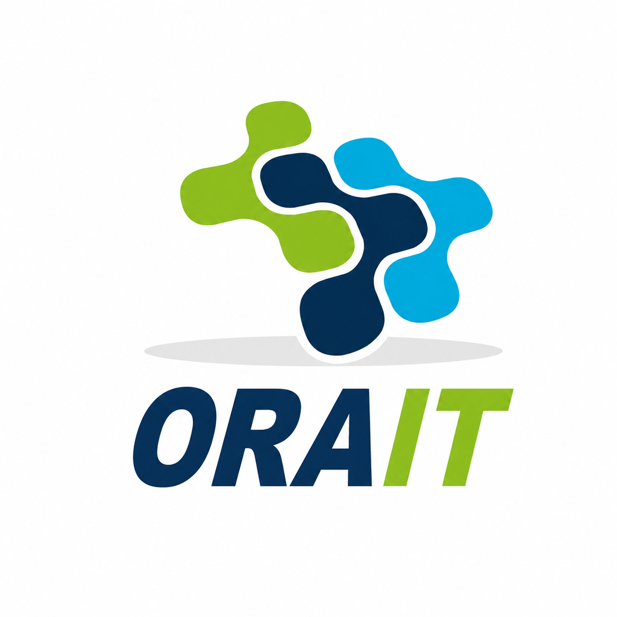 ORA Infotech Company